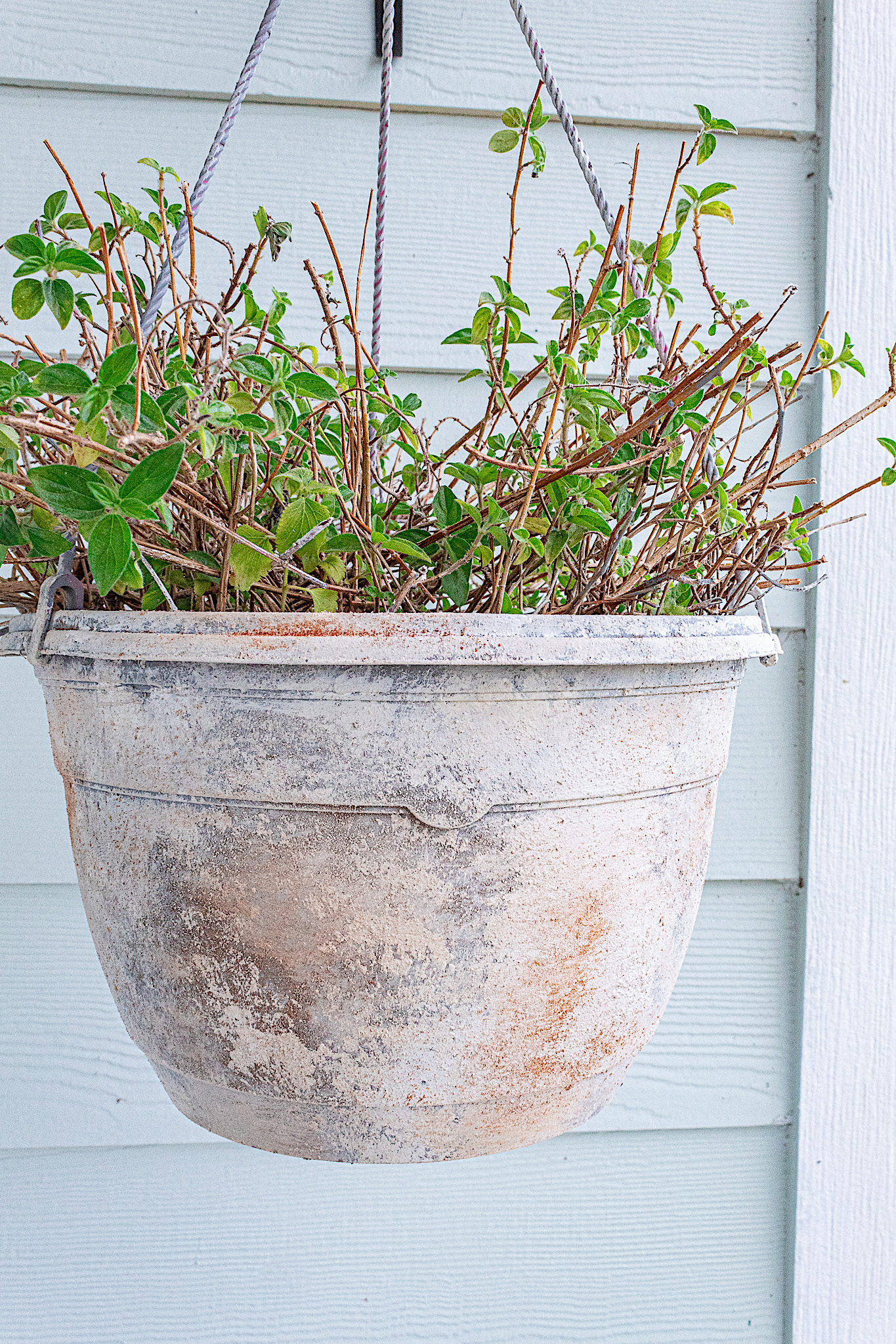 How to Make a Plastic Planter Pot Look Like Aged Stone - Savvy Apron