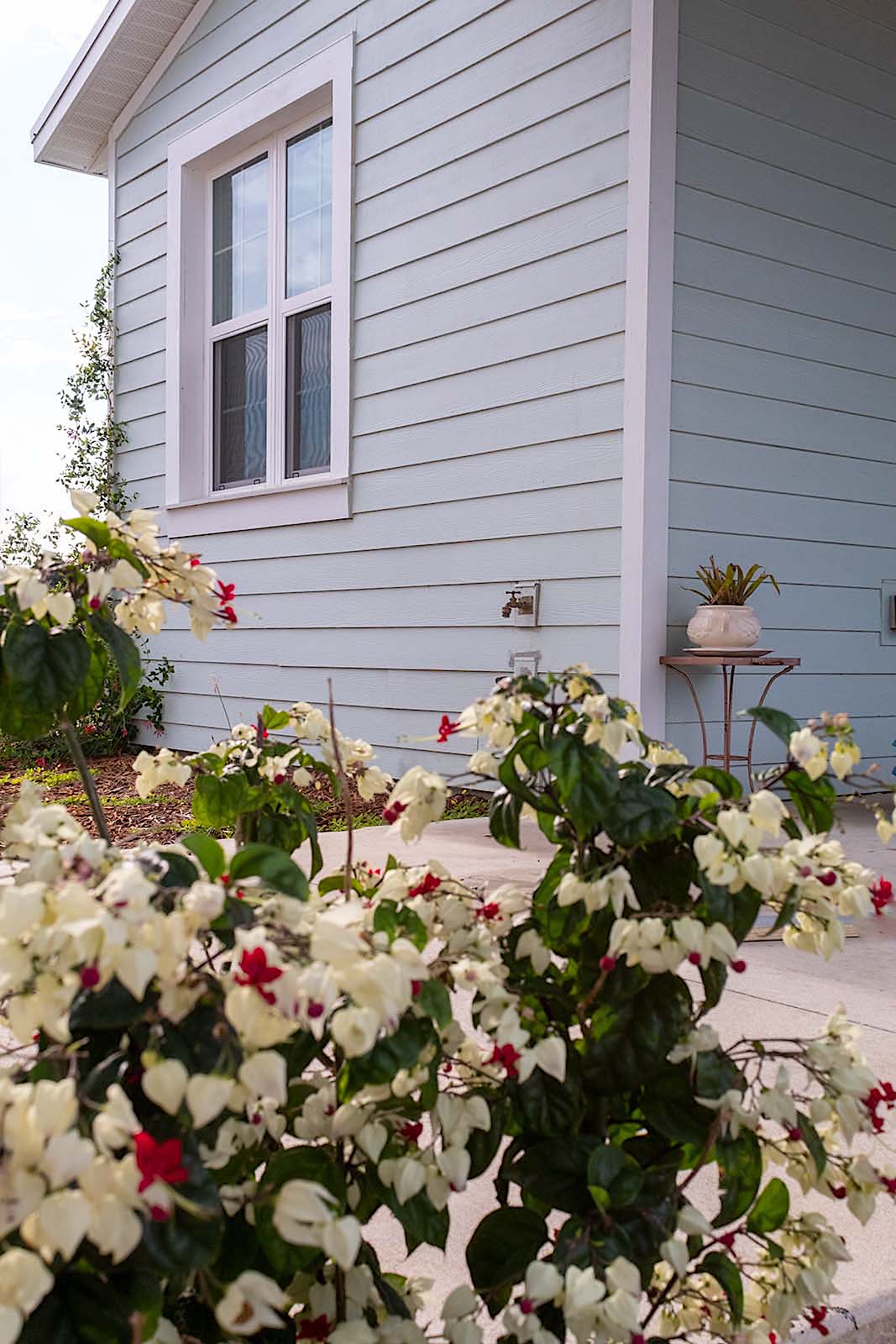 Ideas For Year Round Color In your Garden – Nooks In Bloom