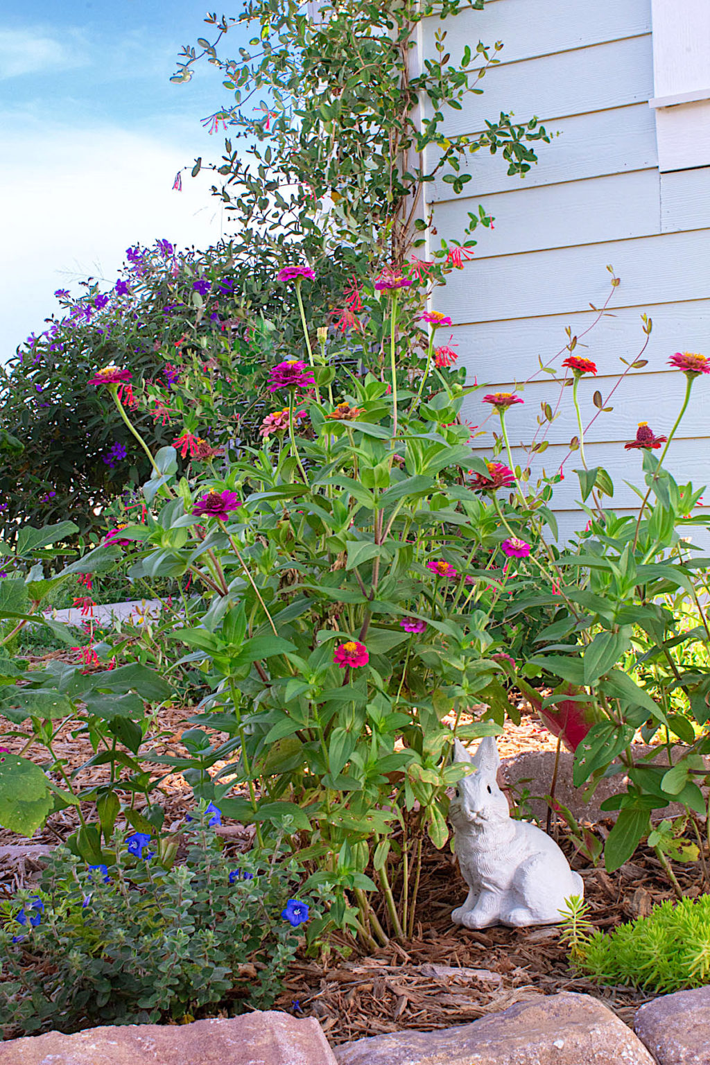 Ideas For Year Round Color In your Garden – Nooks In Bloom
