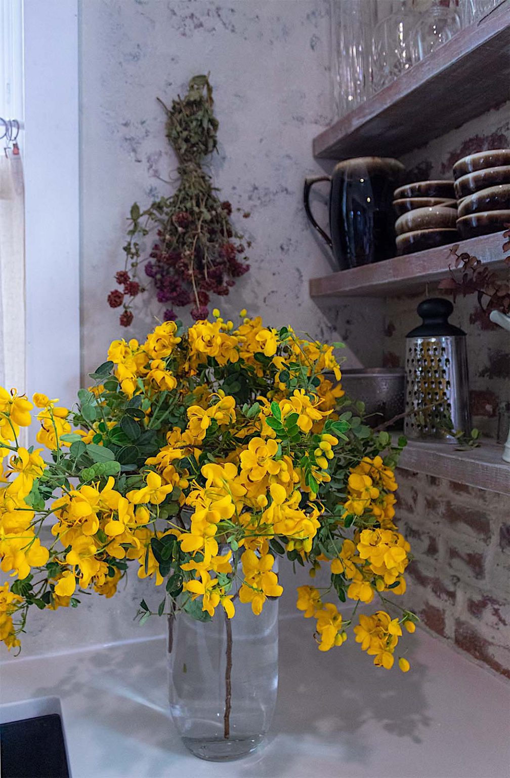 Ideas For Year Round Color In your Garden – Nooks In Bloom